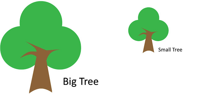 SCERT english class 2 chapter 2 questions answers
